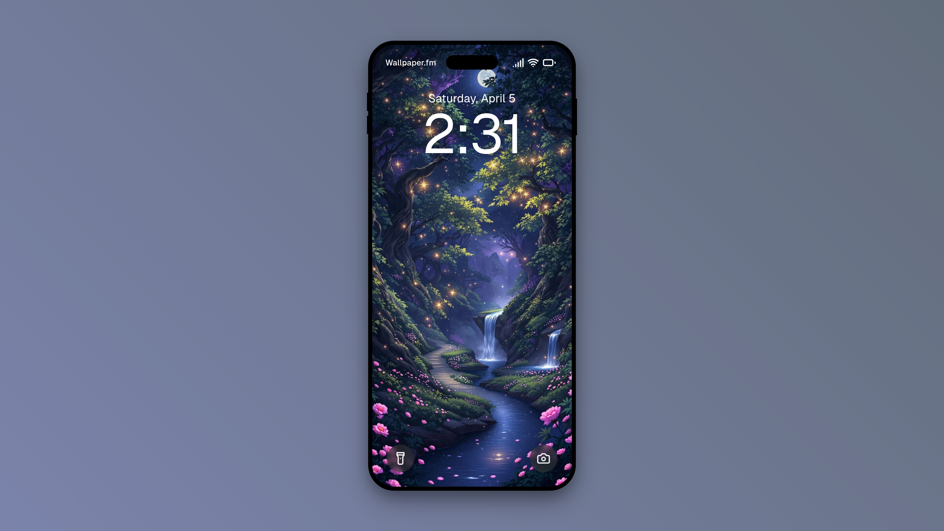 Twilight Enchanted Forest