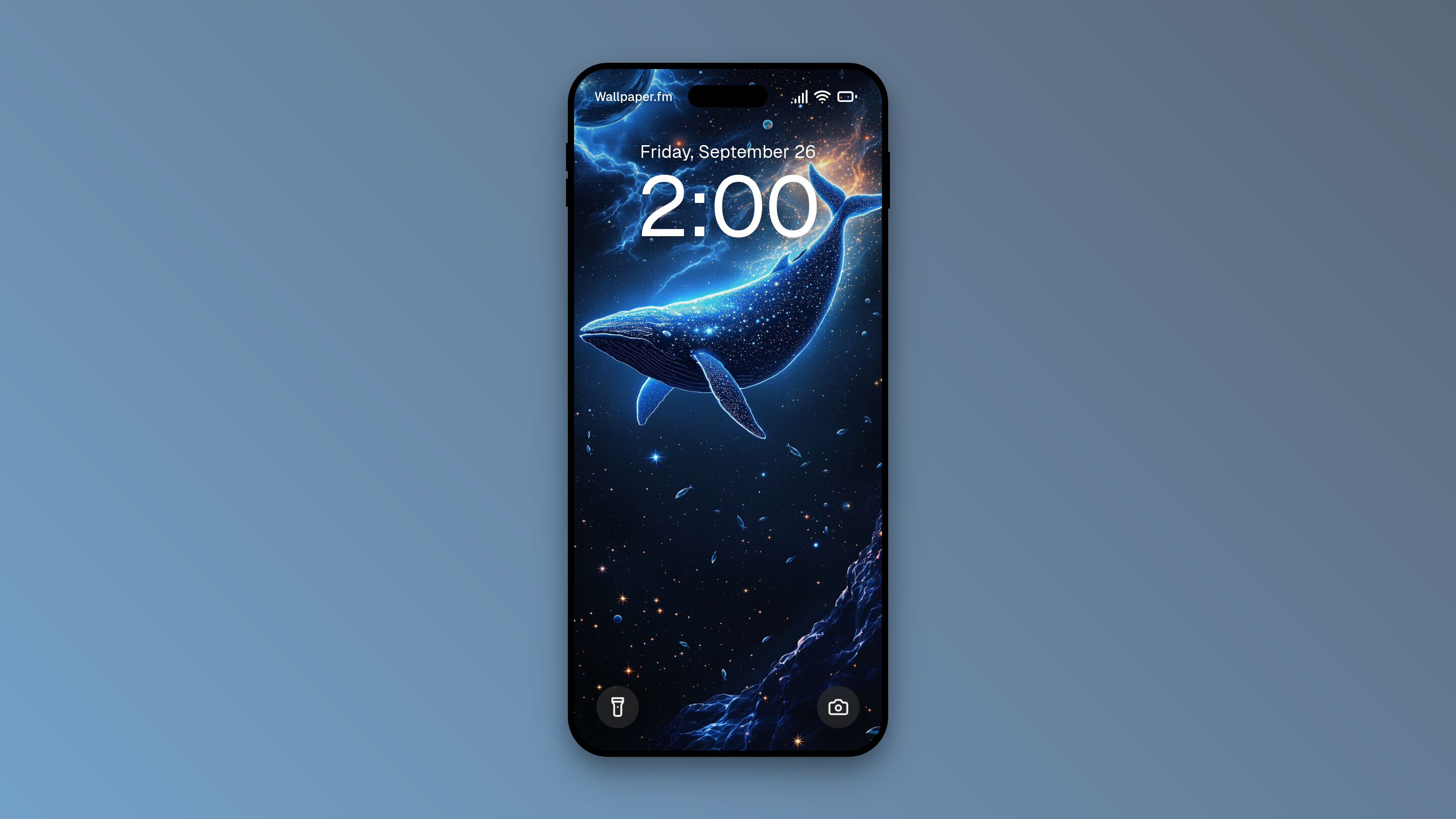 Cosmic Whale Voyage