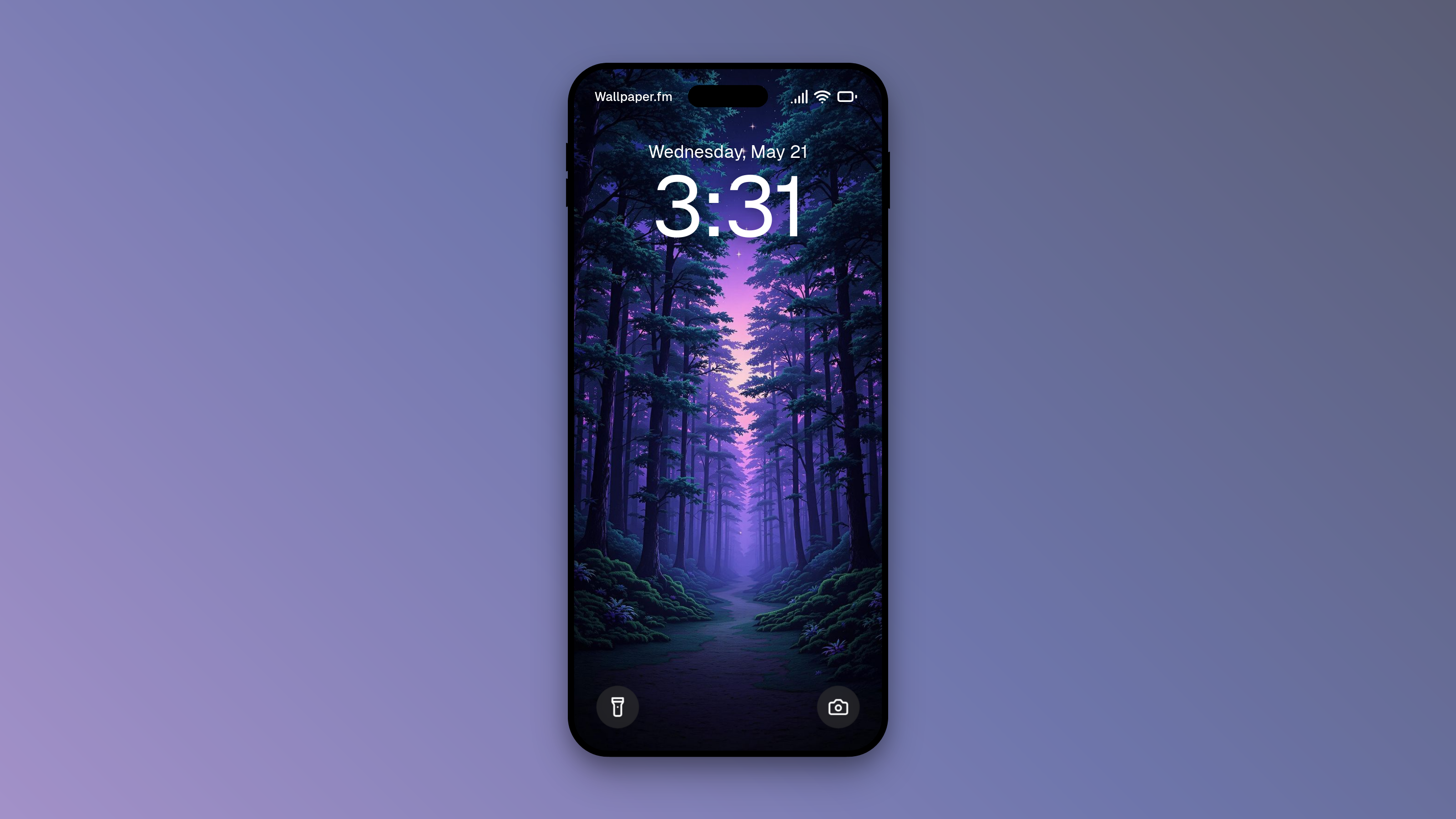 Twilight Enchanted Forest